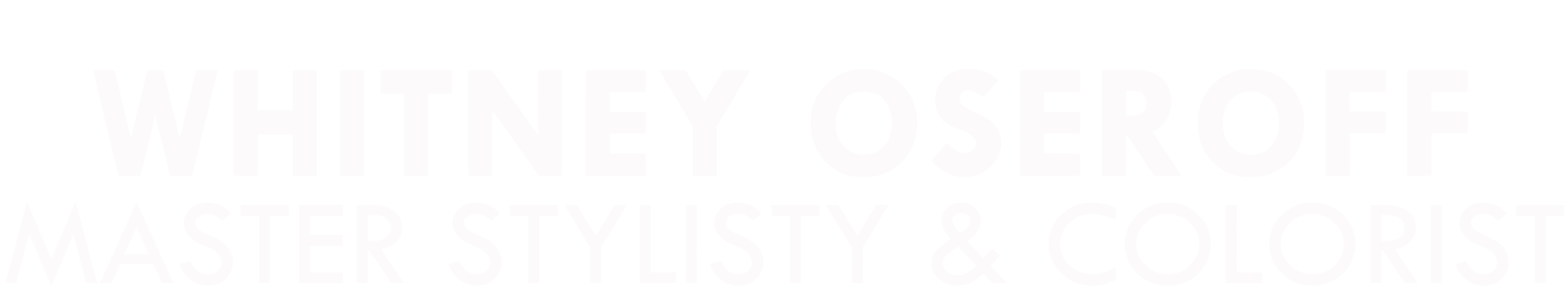 Whitney Oseroff, Sola Salon