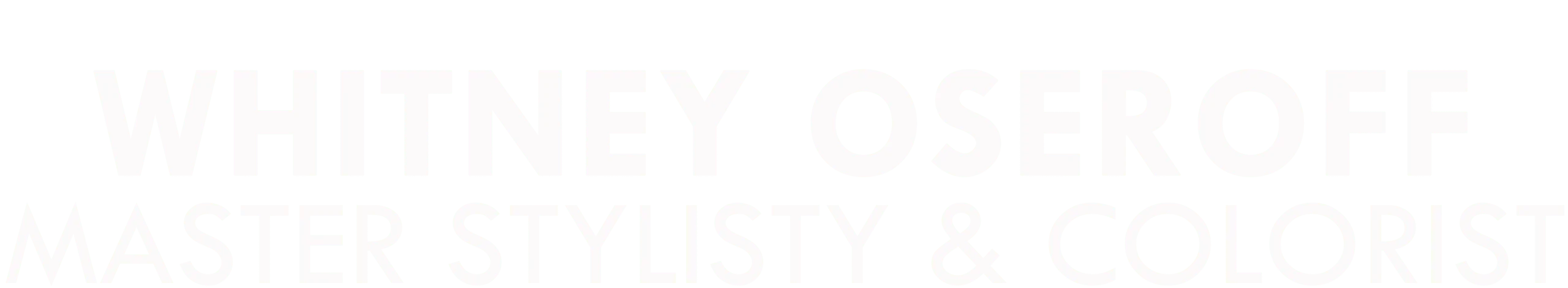 Whitney Oseroff, Sola Salon